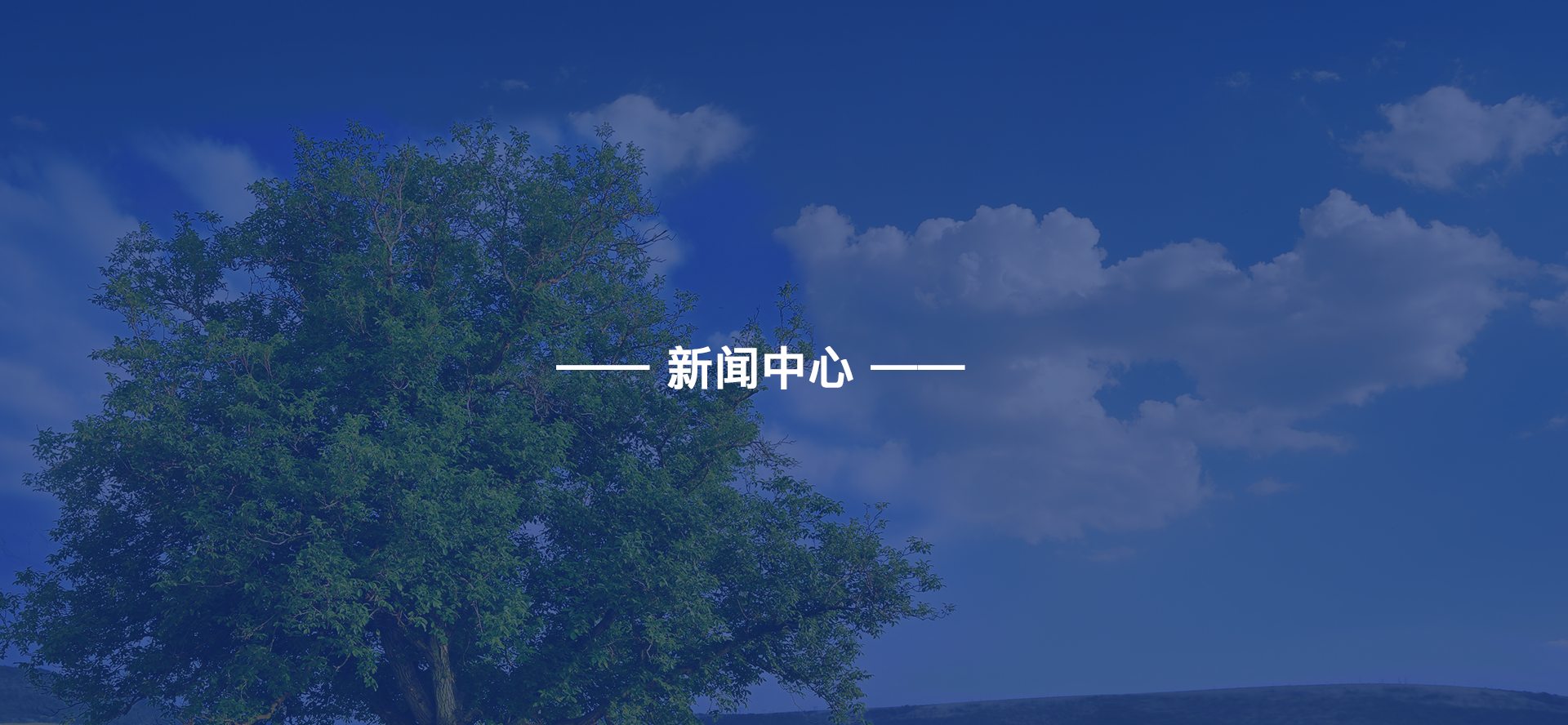 金年会金字招牌信誉至上