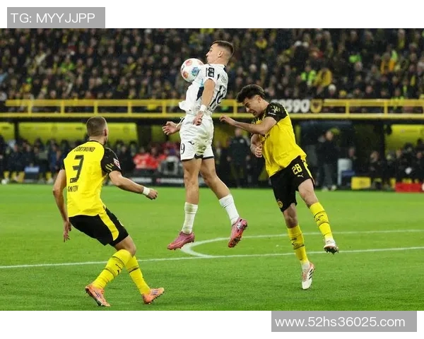 霍芬海姆客场逼平多特蒙德，实力显现，斗志坚定，赛场无惧